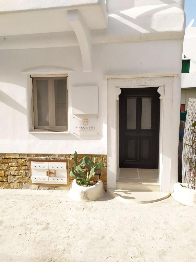 Narcissus Luxury Suites Naxos City Exterior photo