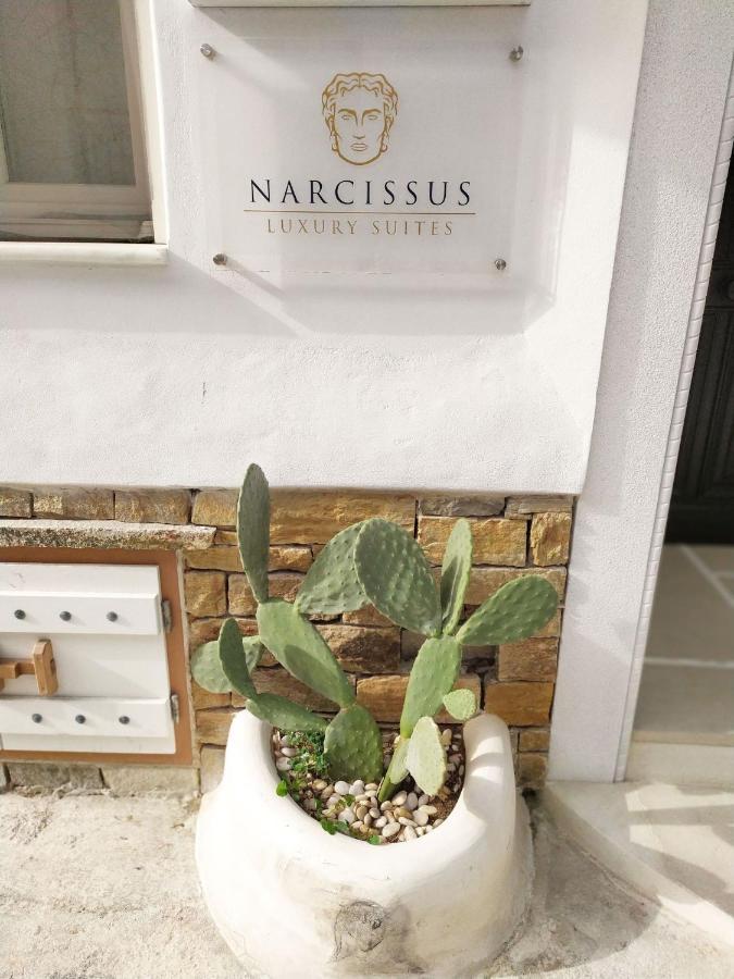 Narcissus Luxury Suites Naxos City Exterior photo
